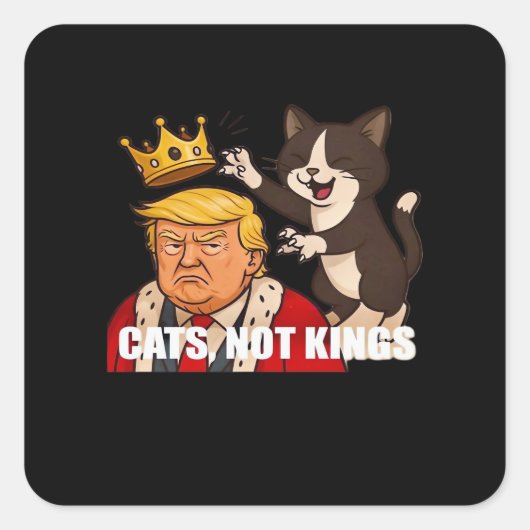 猫嫌いに捧ぐ ノーキングス 面白いクラシックデザイン スクエアシール (正面)