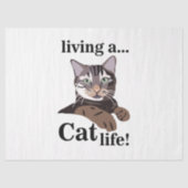 猫子猫 おもしろい 薄葉紙 (正面)