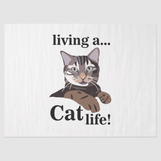 猫子猫 おもしろい 薄葉紙 (正面)