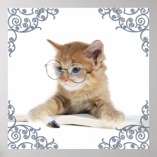 猫学者 ポスター (正面)