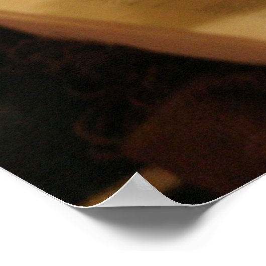 猫学者 ポスター (角)