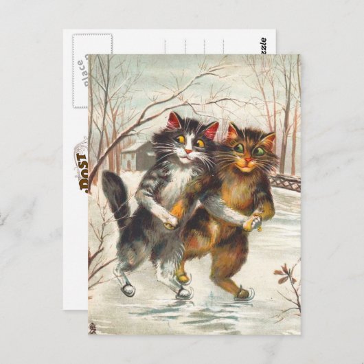 猫対アイススケートで滑る ポストカード (正面/裏面)