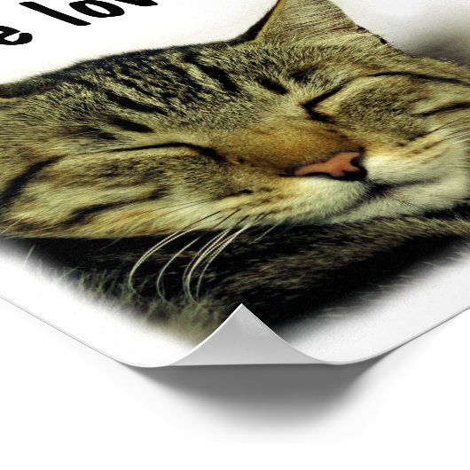 猫引用文ポスター ポスター (角)