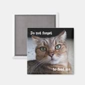 猫忘れに食べ物を与えはな マグネット (正面/裏面)