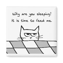 猫怒が君の寝床を離れたい