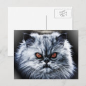 猫怒はがき ポストカード (正面/裏面)