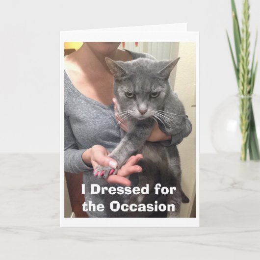 猫怒誕生日カード カード (正面)