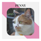 猫悔やみや弔慰記念ペットメモリアルピンク写真 フォトキューブ (正面)