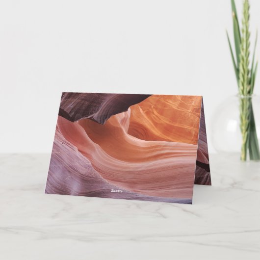 猫悔やみや弔慰 カード (裏面)