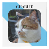 猫悔やみや弔慰Keepsake Petメモリアルブルー写真 フォトキューブ (正面)