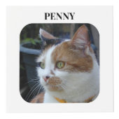 猫悔やみや弔慰Keepsake Petメモリアル黒写真 フォトキューブ (正面)