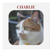 猫悔やみや弔慰Keepsake Pet Memorialマルーン写真 フォトキューブ (正面)