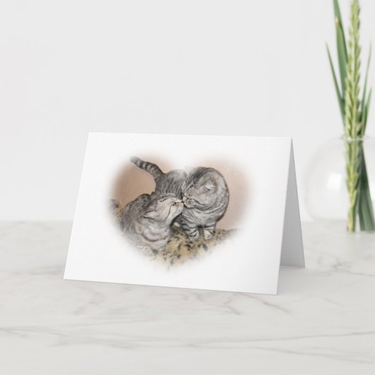 猫愛挨拶状 カード (正面)