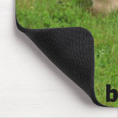 猫愛 マウスパッド (コーナー)