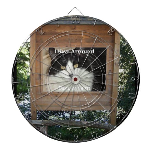 猫態度 ダーツボード (正面)