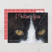 猫招待状はがきカスタマイズ-任意の大事な行事 インビテーションポストカード (正面/裏面)