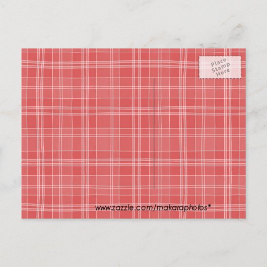 猫招待状はがきカスタマイズ-任意の大事な行事 インビテーションポストカード (裏面)