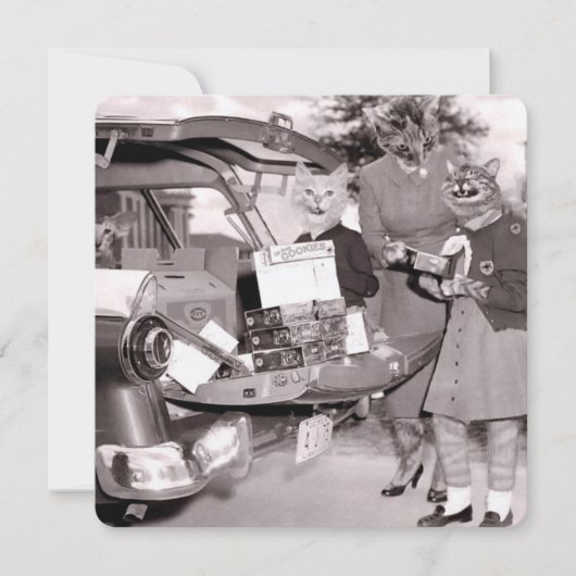 猫探しのクッキーが発売！フラットグリーティングカード カード (正面)