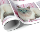 猫探し ラッピングペーパー (ロールコーナー)