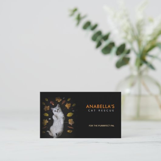 猫救助のスローガンと名刺 名刺 (スタンド正面)