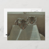 猫救済の私の読本葉書 ポストカード (正面/裏面)
