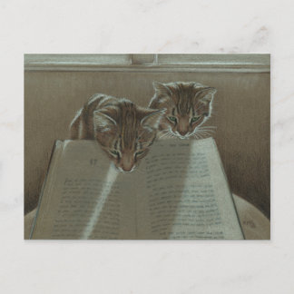 猫救済の私の読本葉書 ポストカード