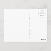 猫昼寝はがき ポストカード (裏面)