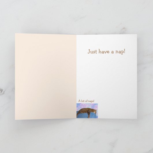 猫昼寝ウィズ取得優良カード カード (内部)