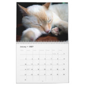 猫昼寝フォトウォールカレンダー カレンダー (1月 2027)