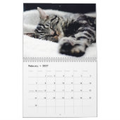 猫昼寝フォトウォールカレンダー カレンダー (2月 2027)