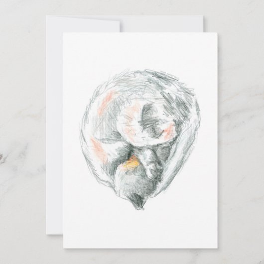 猫昼寝招待状とアナウンス (正面)