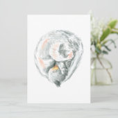 猫昼寝招待状とアナウンス (スタンド正面)