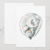 猫昼寝招待状とアナウンス (正面/裏面)