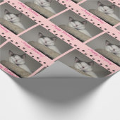 猫昼寝誕生日と足跡 ラッピングペーパー (コーナー)