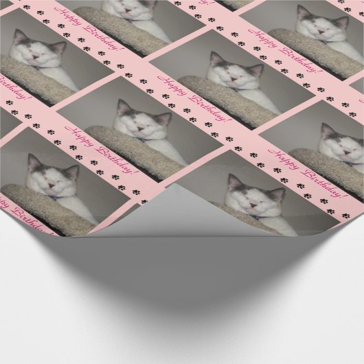 猫昼寝誕生日と足跡 ラッピングペーパー (コーナー)