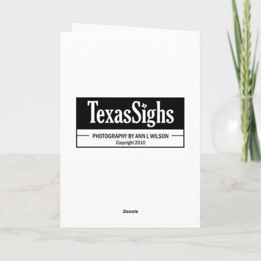 "猫昼寝" カード (裏面)