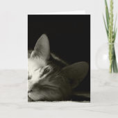 "猫昼寝" カード (正面)