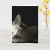 "猫昼寝" カード (黄色い花)
