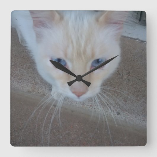 猫時計 スクエア壁時計 (正面)