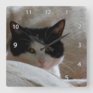 猫時計 スクエア壁時計