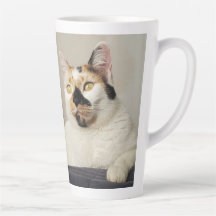 猫最高のの母の写真