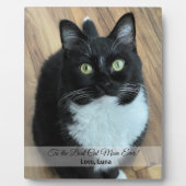 猫最高のの母の写真 フォトプラーク (正面)