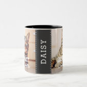 猫最高のパパモダン写真カスタムと猫の名前 ツートーンマグカップ (中央)