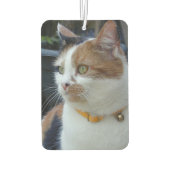 猫最高の母さん カーエアーフレッシュナー (裏面)