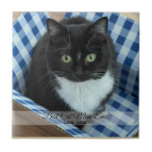 猫最高の母の撮カスタム影と文字 タイル (正面)