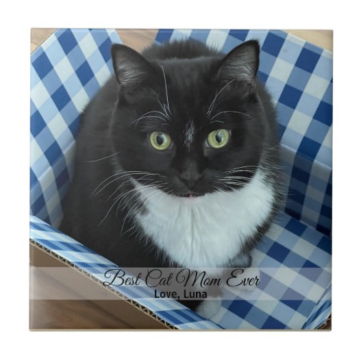 猫最高の母の撮カスタム影と文字 タイル (正面)