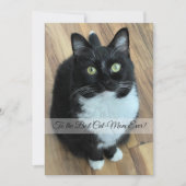 猫最高の母の日のカード (正面)