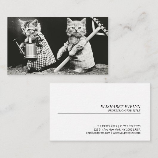 猫服のヴィンテージ写真 名刺 (正面/裏面)