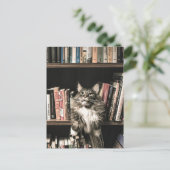 猫本棚ブックケース投函 ポストカード (スタンド正面)