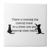 猫来の家 タイル (正面)